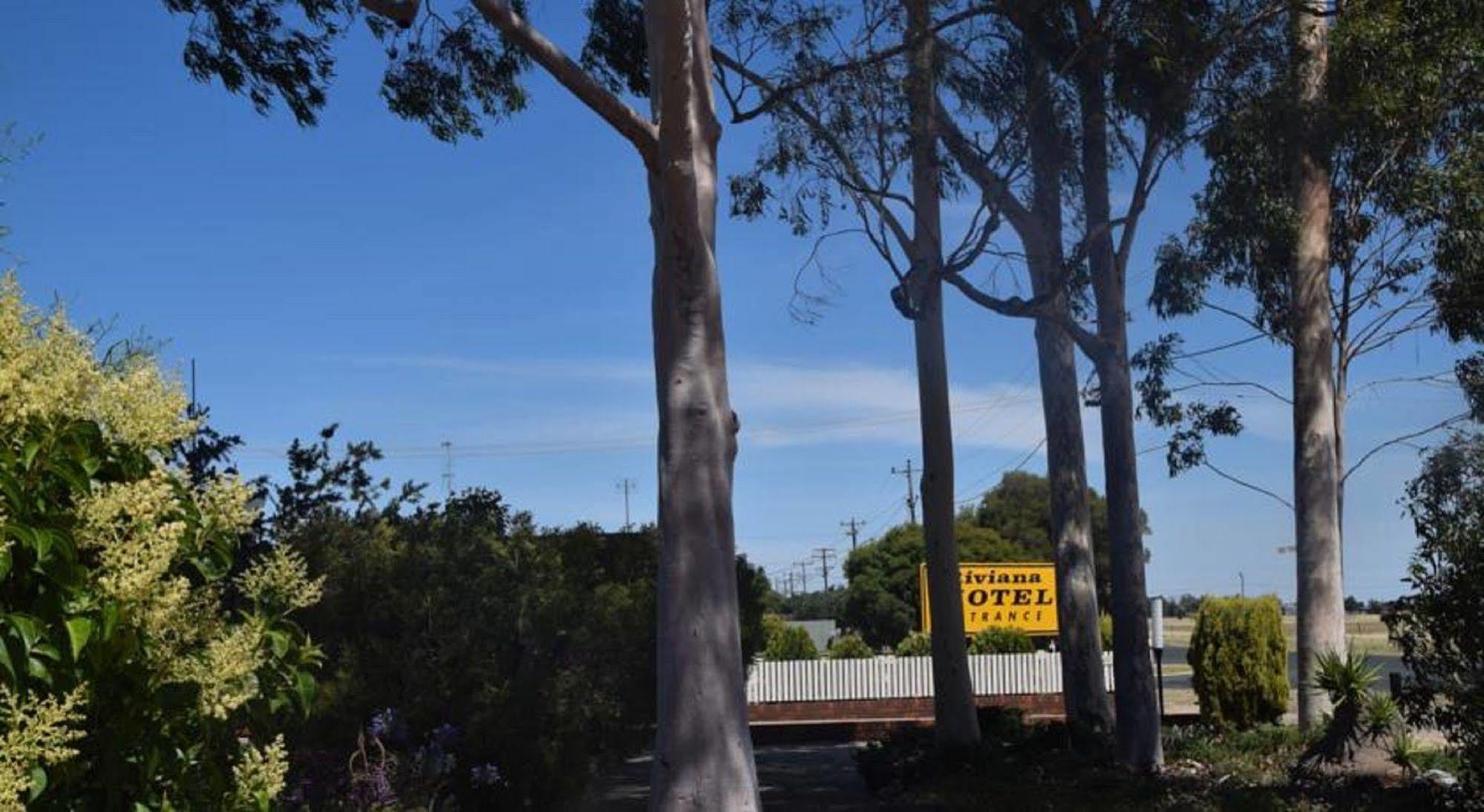 Riviana Motel Deniliquin Kültér fotó